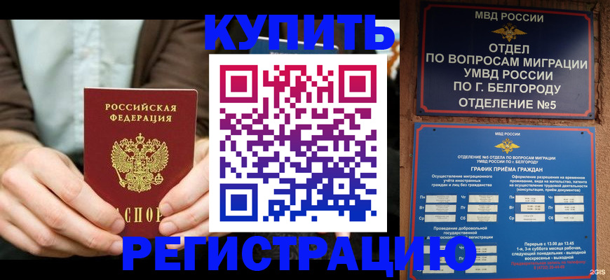 прописка 2025 в Курганинске